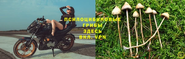 гидропоника Абаза