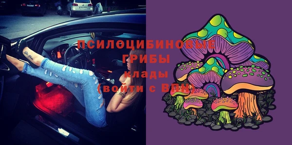 PSILOCYBIN Абдулино