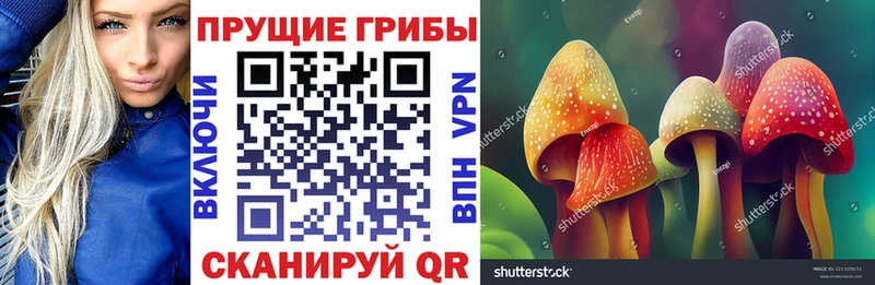 Псилоцибиновые грибы мицелий  цены наркотик  Киренск 